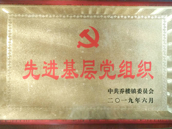 郑州建新获得“基层党组织”荣誉奖